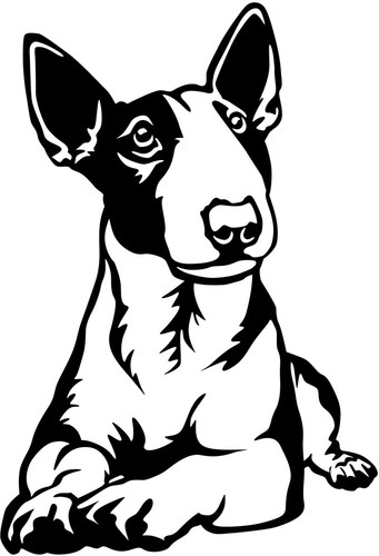 Adesivo bull terrier - -,