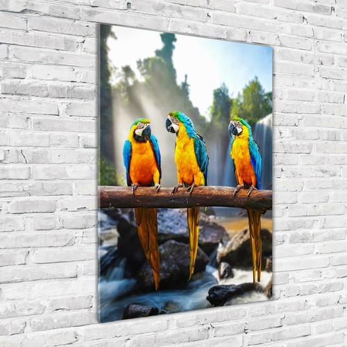 Acrylic glass print wall - glass,