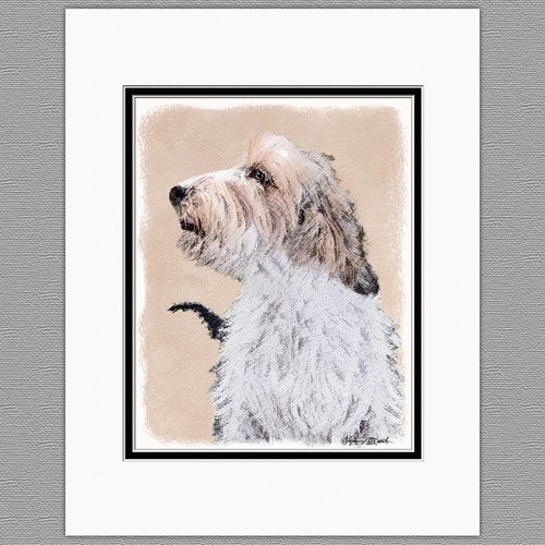 Petit basset griffon vendéen - basset,