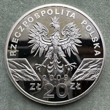Moneta Argento Polonia 2009 Proof 20 Zlotych Silver Coin Poland