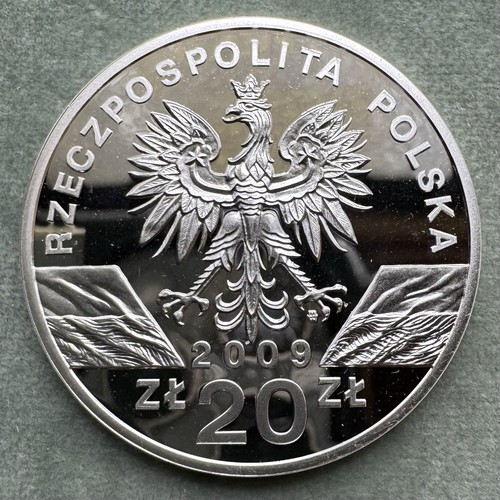 Moneta argento polonia - moneta, 2009