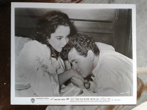 Gigante liz taylor rock - liz,