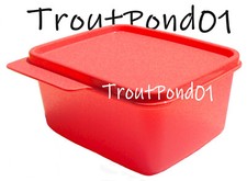 Tupperware Keep Tabs Easy Open