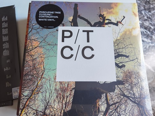 Porcupine tree - porcupine,