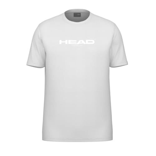 Head microgel - 4,