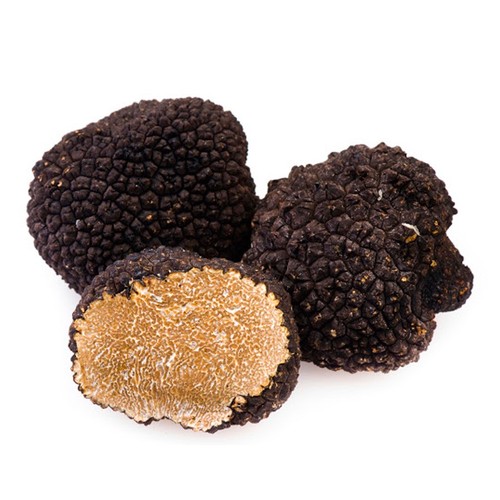 Tartufo nero estivo fresco - tartufo,