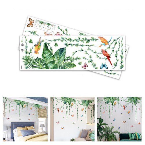 Decorazione casa pianta verde - pianta,