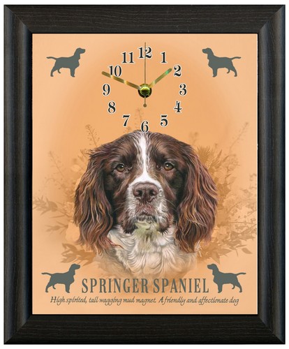 Springer spaniel regalo natale