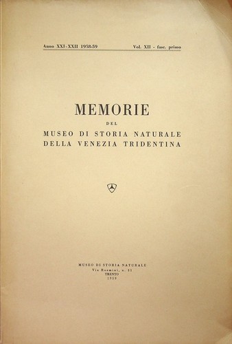Porfidi permiani della conca - i,