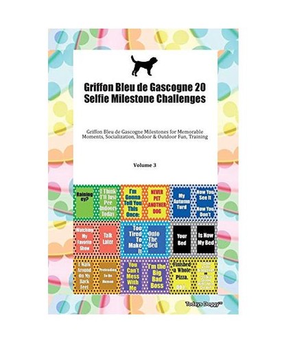 Griffon bleu gascogne 20 - griffon,