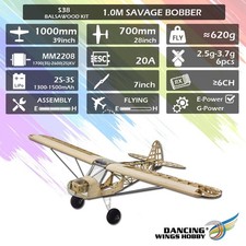 Dancing Wings Hobby S38 Savage