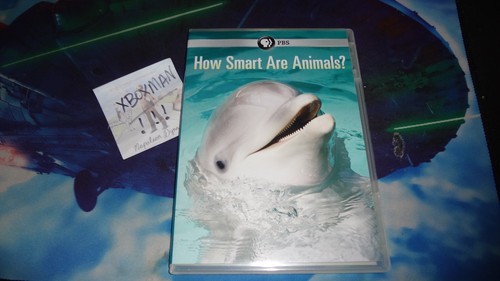 How smart are animals dvd - smart, pbs
