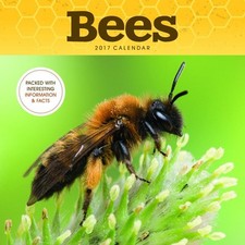 BEES 2017 SQUARE WALL CALENDAR