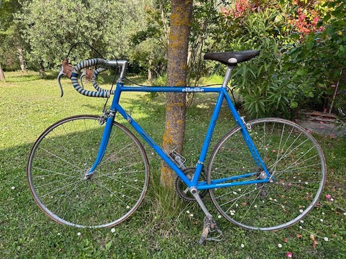 Bici corsa professionisti - bici,