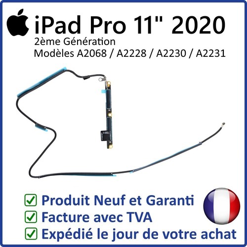 Ipad pro 2020 module - ipad,