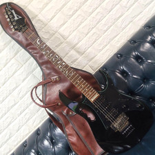 Chitarra modello Ibanez Steve