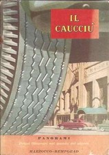 CAUCCIù PNEUMATICO GOMMA AUTO LATTICE