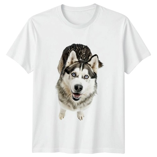 Shirt cane occhi blu - occhi,