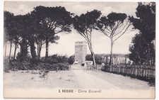 P03499 - CARTOLINA SAN ROSSORE - TORRE RICCARDI - p/vg