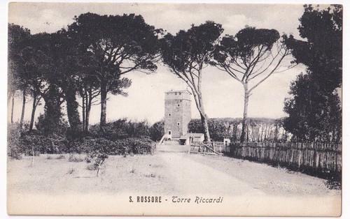 P03499 cartolina san rossore - p03499,