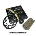 Kit Catena HONDARVF400 Rr,Rt