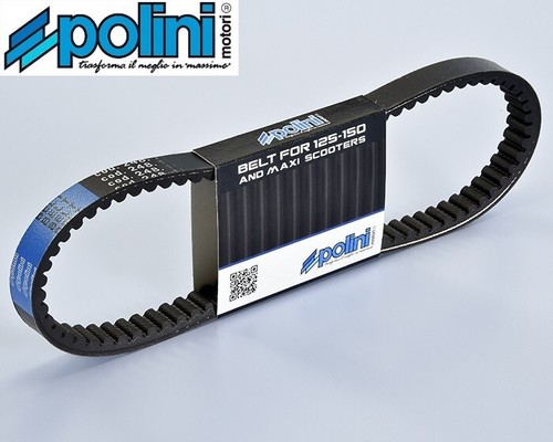 Cinghia variatore piaggio - cinghia,