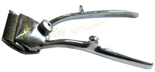 Tosatrice taglia capelli - tosatrice,