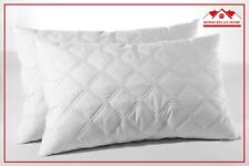 Coppia di Cuscini in Fiocco di