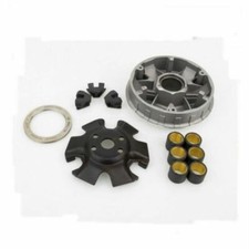 10261304 VARIATORE PINASCO