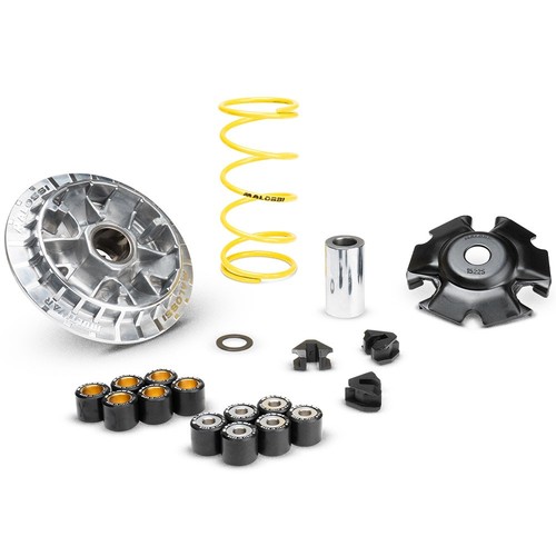 Kit variatore malossi - kit,