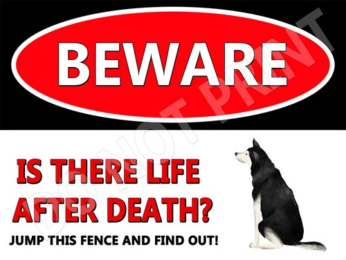 Attenzione all alaska malamute - attenzione,