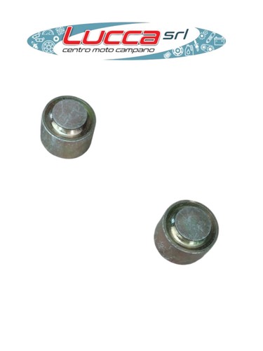 174304 coppia pistoncini - 174304,