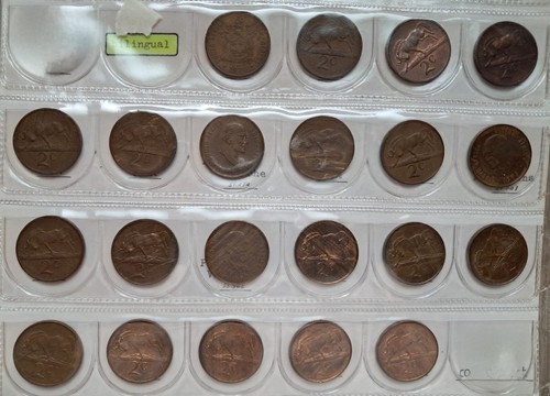 Scegli sud africa cent - scegli,