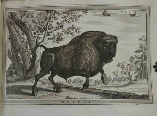 Prevost antoine fra histoire - antoine,