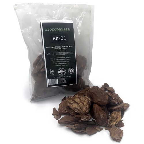 Clorophilla bark per - , orchidee