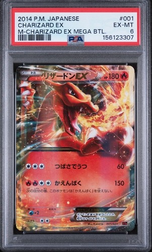 Pokemon 2014 charizard - 2014,