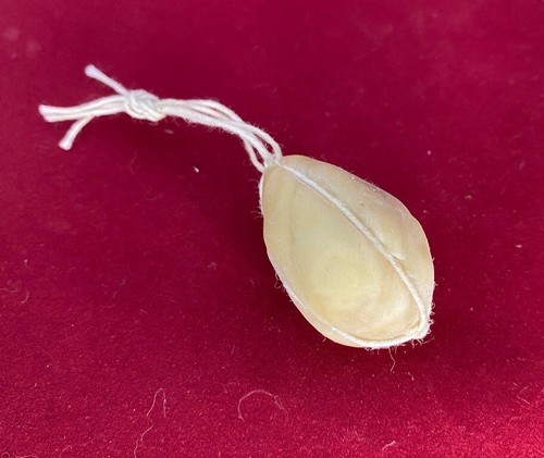 Provolone cera per figure - provolone,