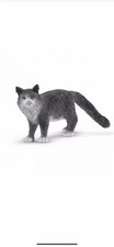 Cat MAINE COON animali in