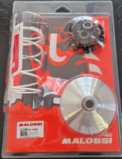 Variatore malossi multivar - variatore, per