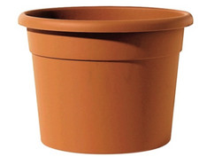 Vasi per piante vaso - piante,