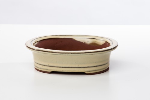 Vaso bonsai smaltato ovale - , cm