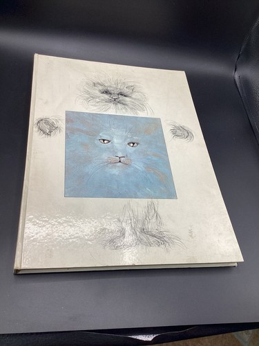 Storie gatti berrucand - storie,