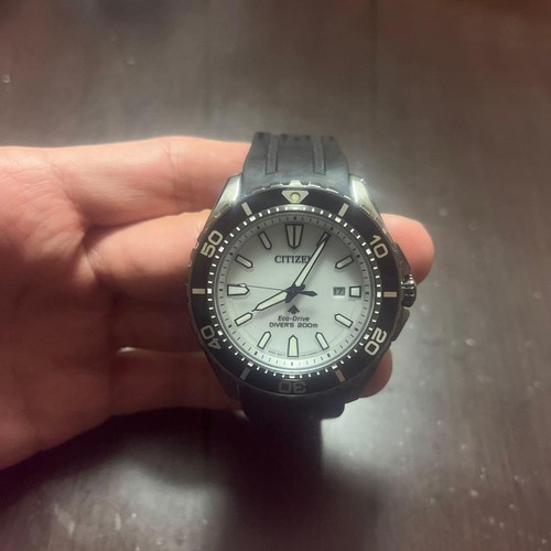 Citizen promaster diver - promaster, diver's
