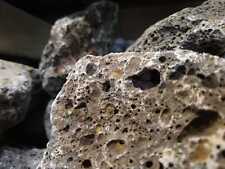 DARK GALAPAGOS LAVA ROCK Ohko