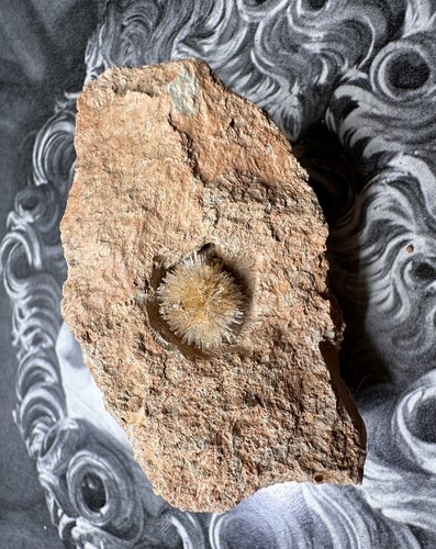 Accicularer aragonite - uv,