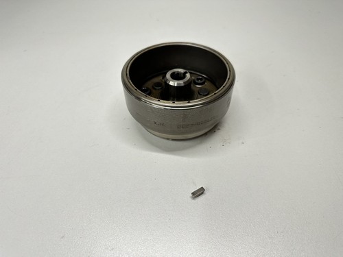 Rotor allumage aprilia - rotor,