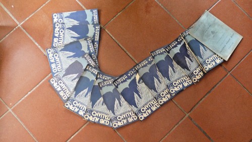 Annata rivista cai - rivista,
