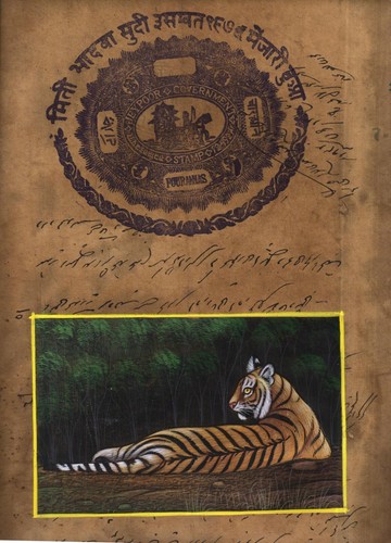 Bengal tiger miniature - bengal,