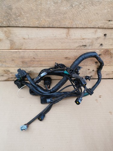Telaio cablaggio triumph tt600 - cablaggio,