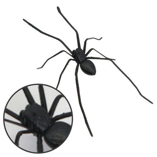 Forte magnete magnetico ragno